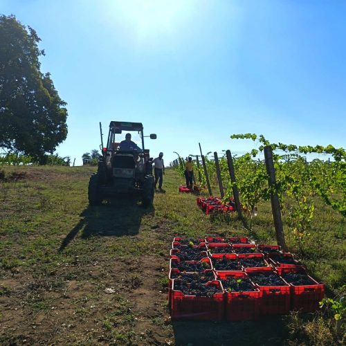 IMG-18fbef0e8c05a64b7790d80e1393cf5e-V