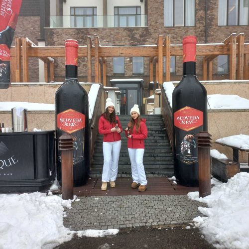 IMG-2d347ef1c15017bdf8abc261ce941bfe-V